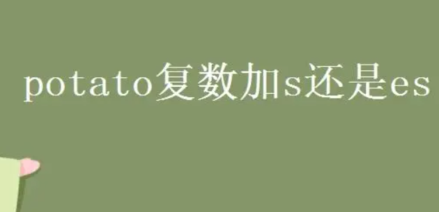 potato复数加s还是es 