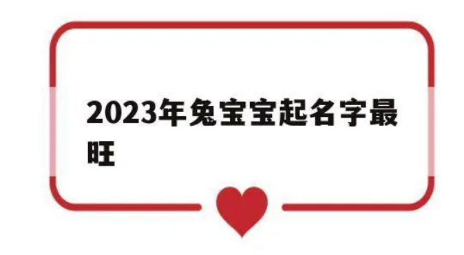 2023年最旺男孩名字兔 
