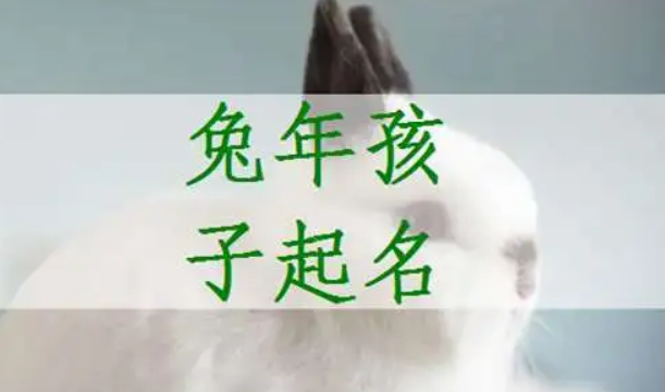 2023兔宝宝取名字大全男孩子 