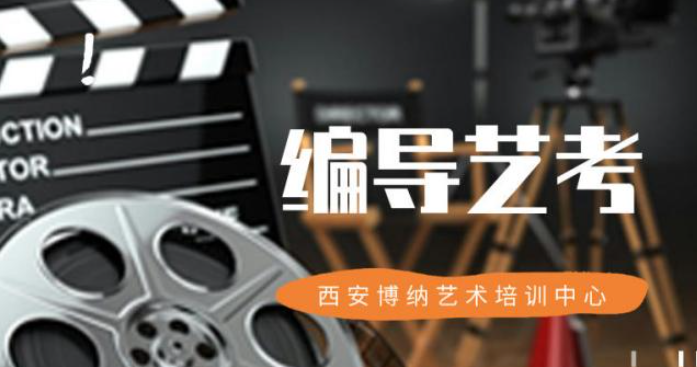 编导艺考培训一般要多少钱 