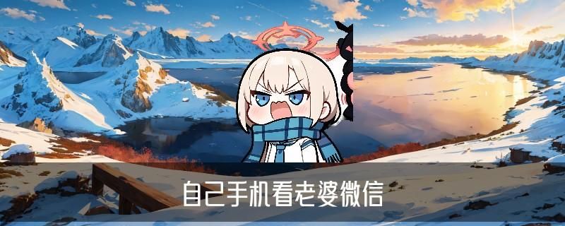 怎样跟踪老婆的微信，木砒推荐5个参数 