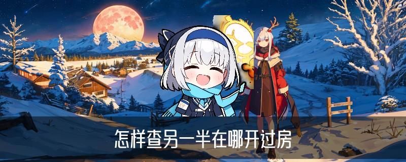 怎么查别人开的宾馆房记录查询，衣谶9种方法 