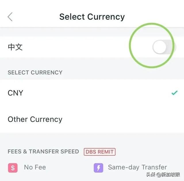 remittance（新加坡汇款到中国） 