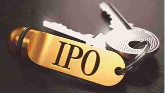 ipo过会是什么意思