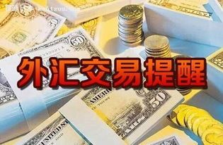 外汇交易怎么亏钱？