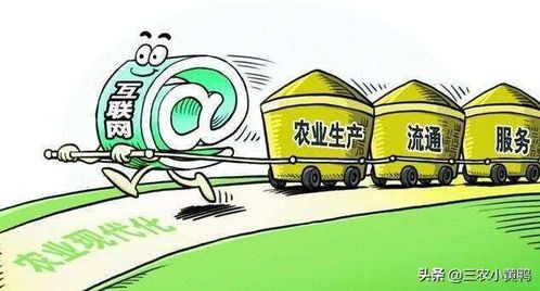 农村电商发展第一步：让你的麦子飞上云端